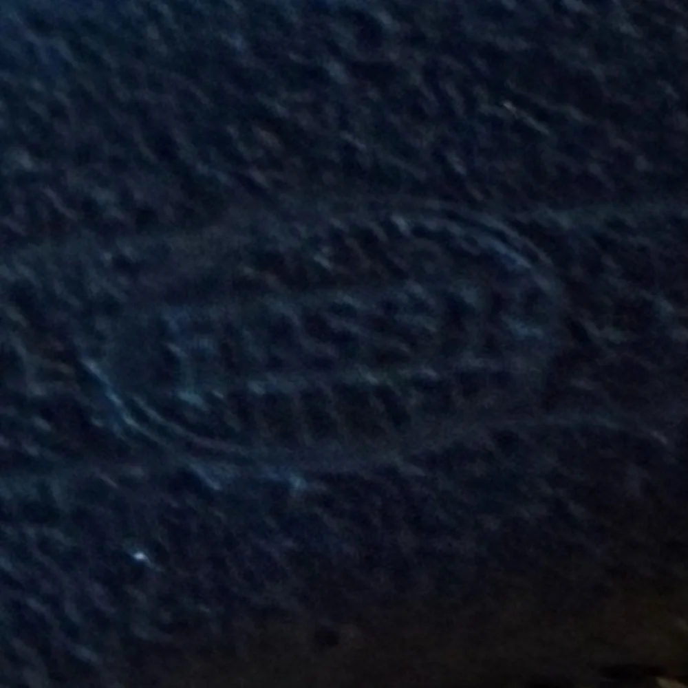 Fossil elevate your